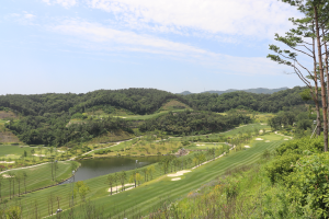 고령오펠(P)
