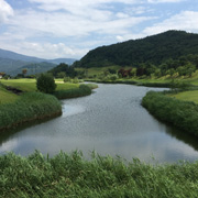 그레이스(P)