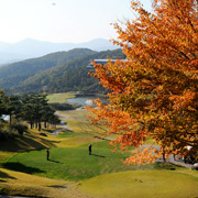 한림광릉