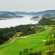 골드레이크(P)