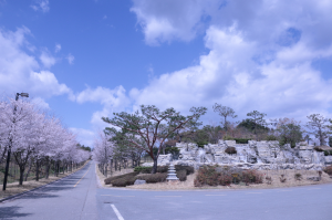 OGOLF 테스트 CC