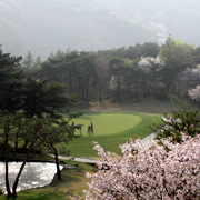 파크밸리(P)