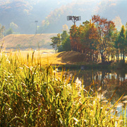 파주(P)