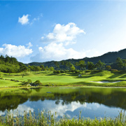 파인힐스(P)