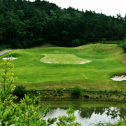 골드리버(P)