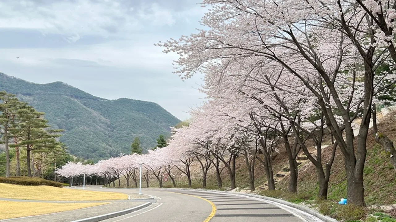 아델스코트(P) 골프장 사진