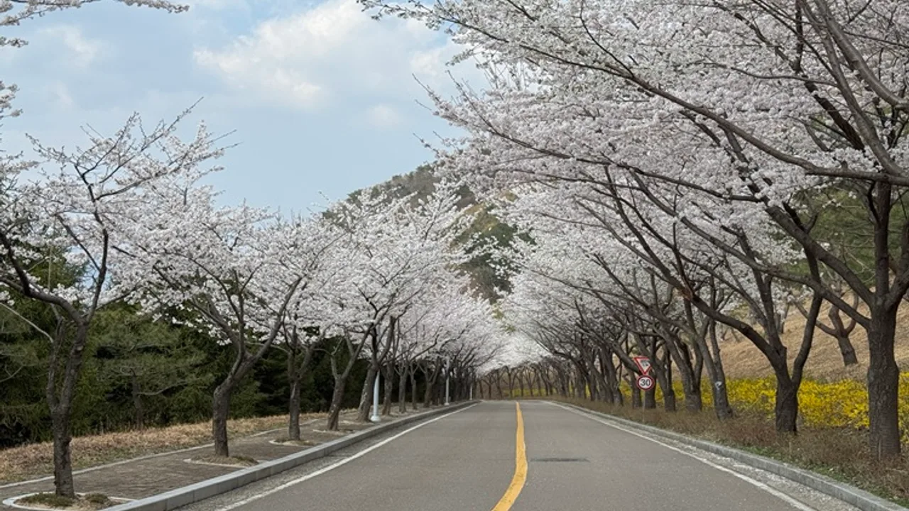아델스코트(P) 골프장 사진