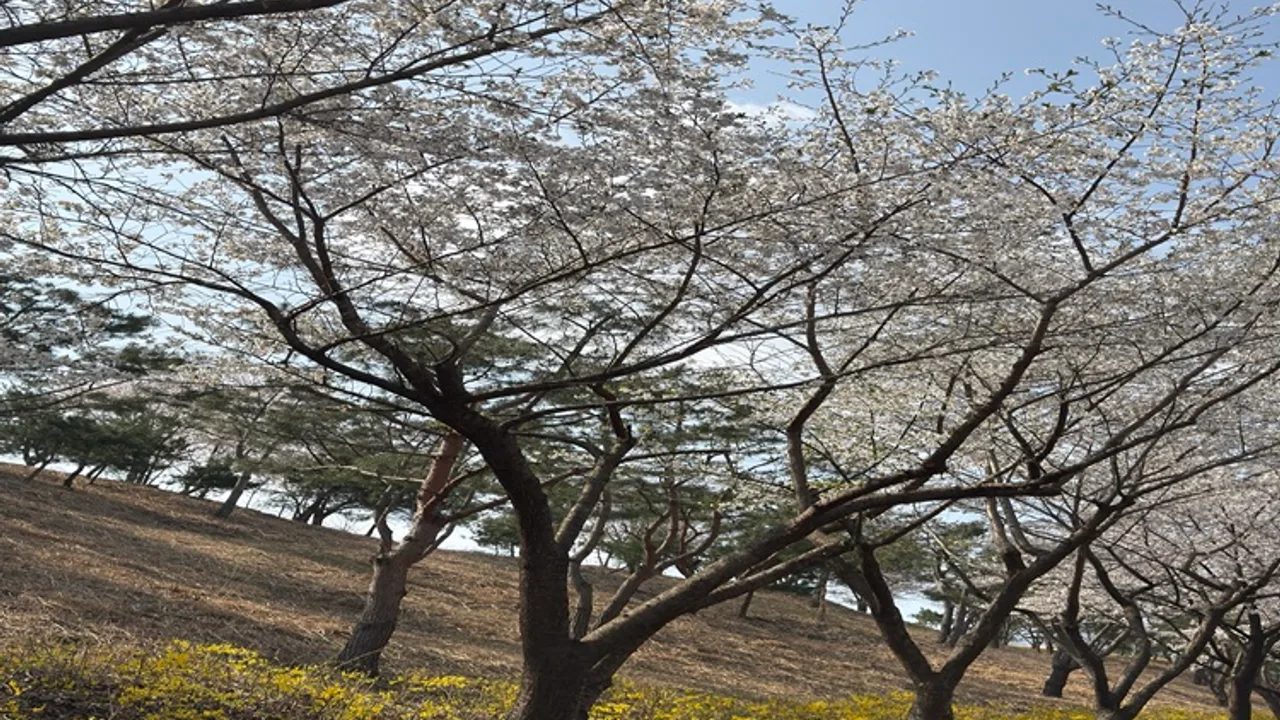 아델스코트(P) 골프장 사진