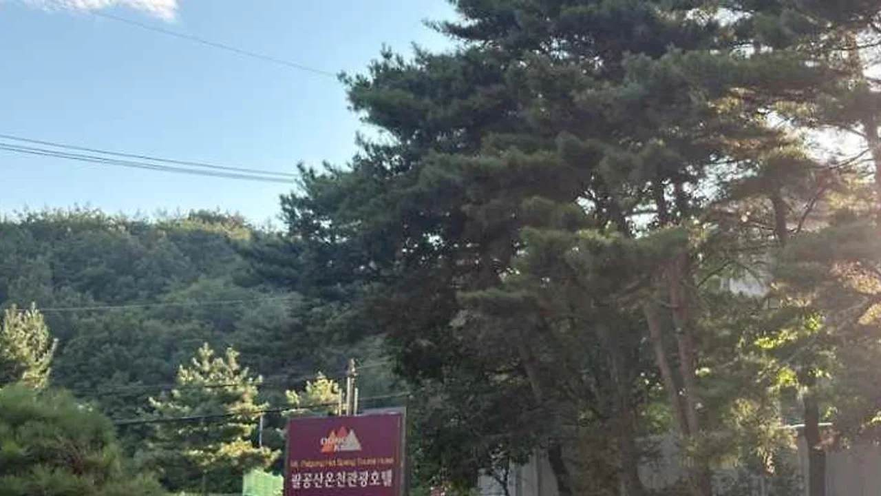 팔공산온천관광호텔 숙소 사진