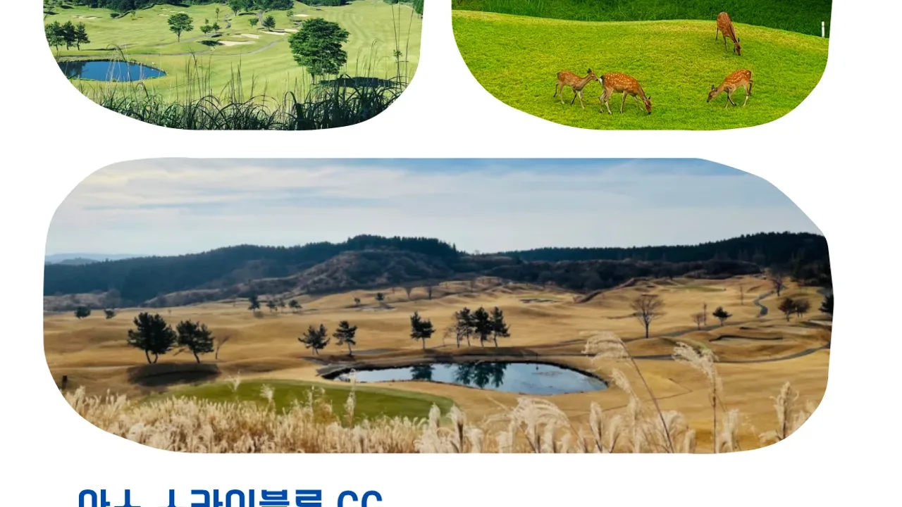 아소 스카이블루 골프 리조트 숙소 사진