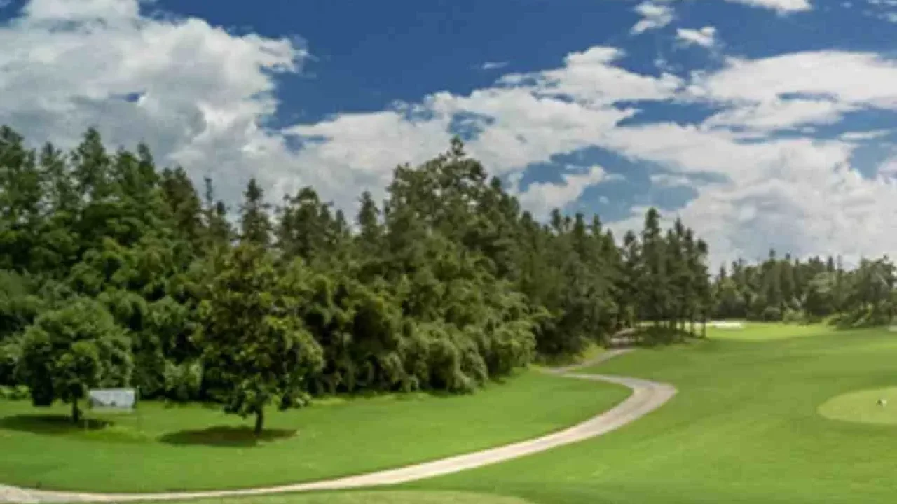 황산 송백 골프 호텔(Huangshan Songbai Golf Hotel) 숙소 사진