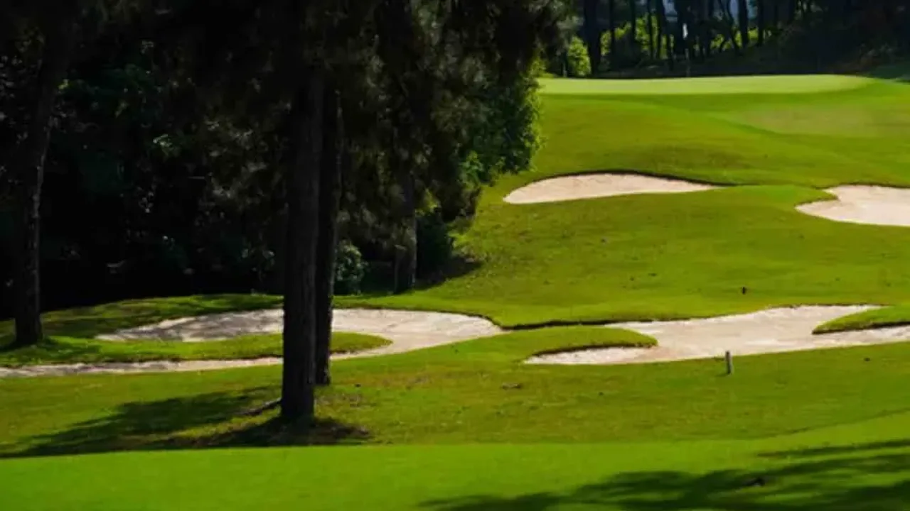 황산 송백 골프 호텔(Huangshan Songbai Golf Hotel) 숙소 사진